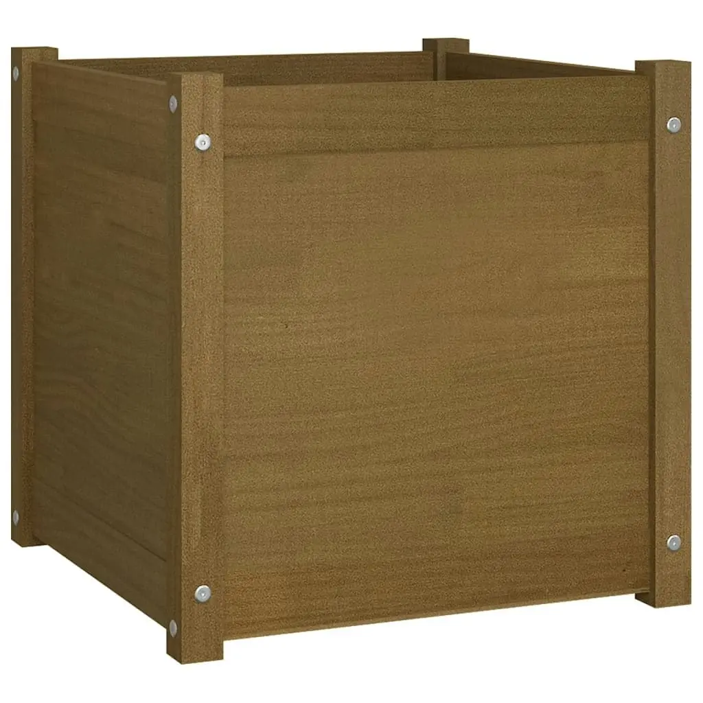 Garden Planter Honey Brown 50x50x50 cm Solid Pinewood 810552