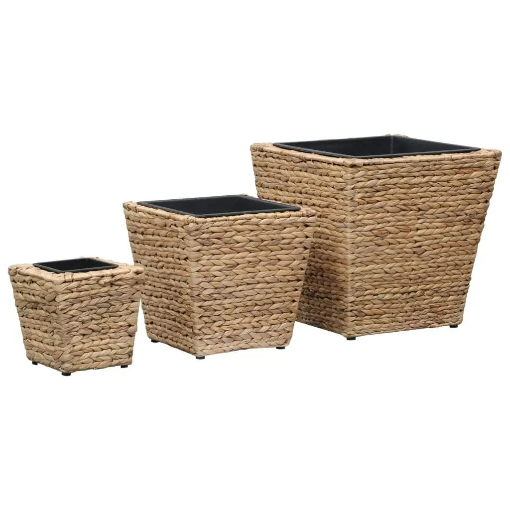 Raised Beds 3 pcs Water Hyacinth 45571