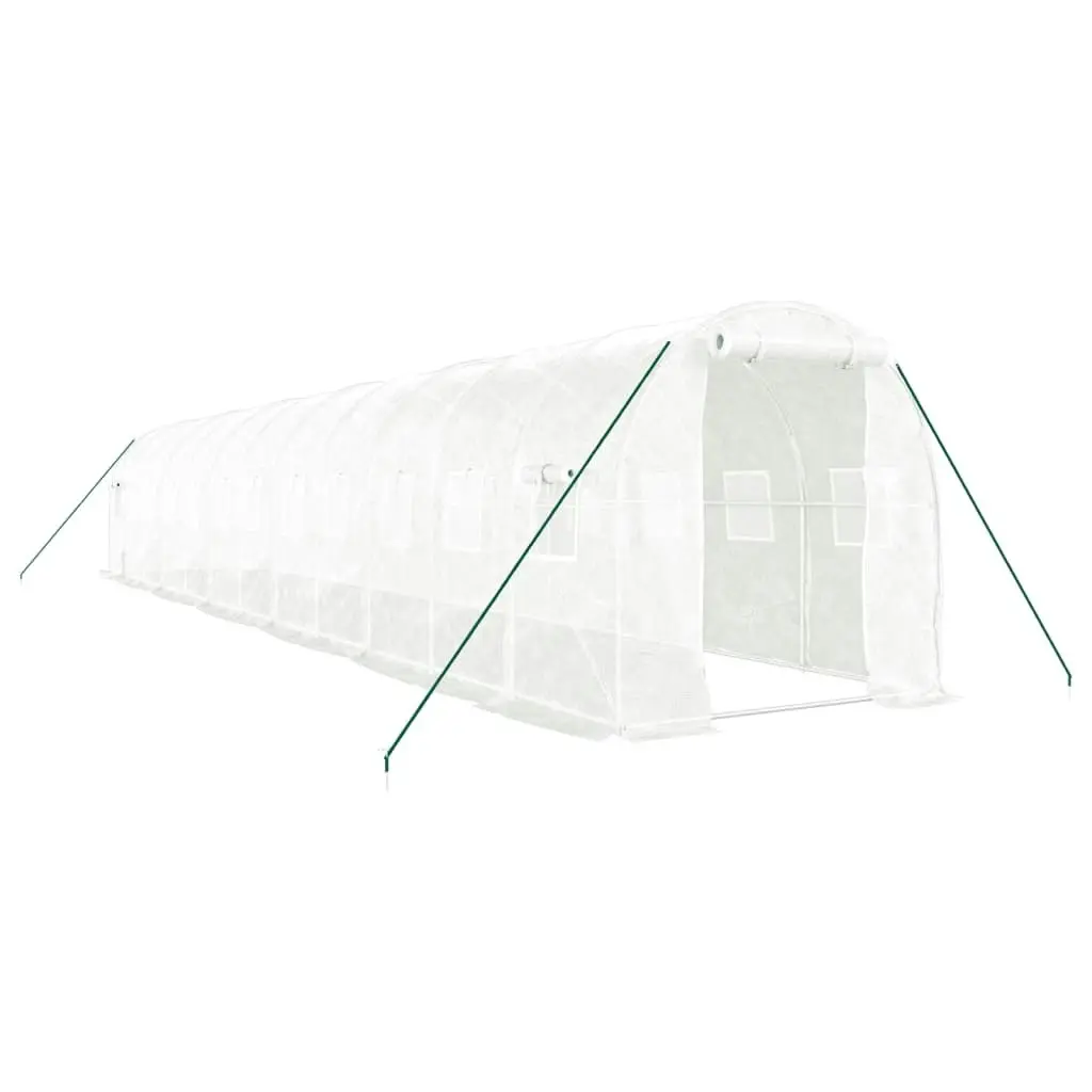 Greenhouse with Steel Frame White 24 mÂ² 12x2x2 m 3188032