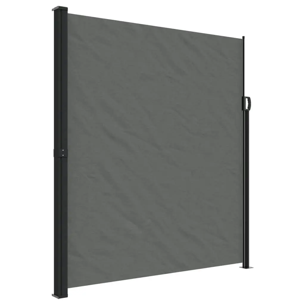 Retractable Side Awning Anthracite 220x300 cm 4004383