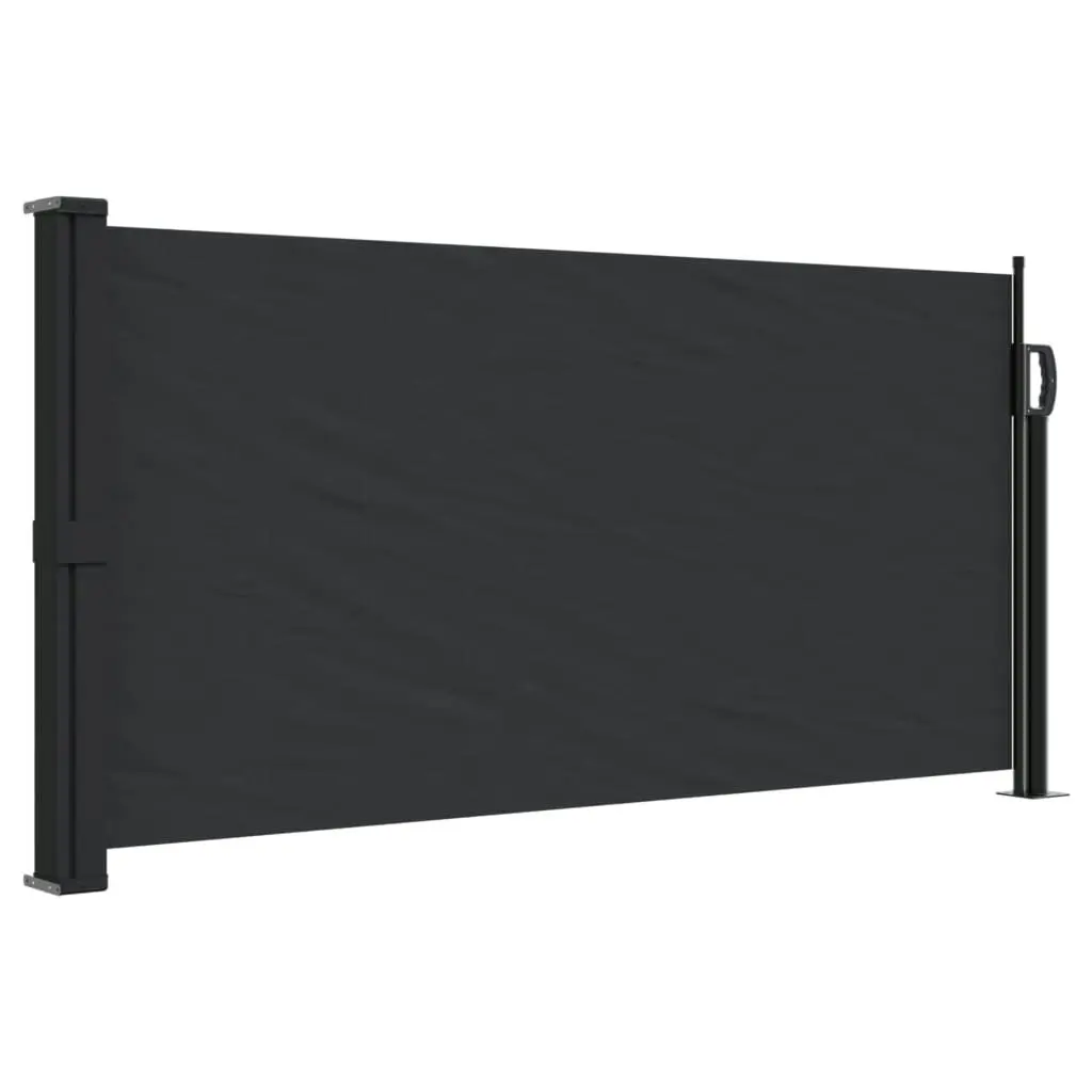 Retractable Side Awning Black 100x300 cm 4004264