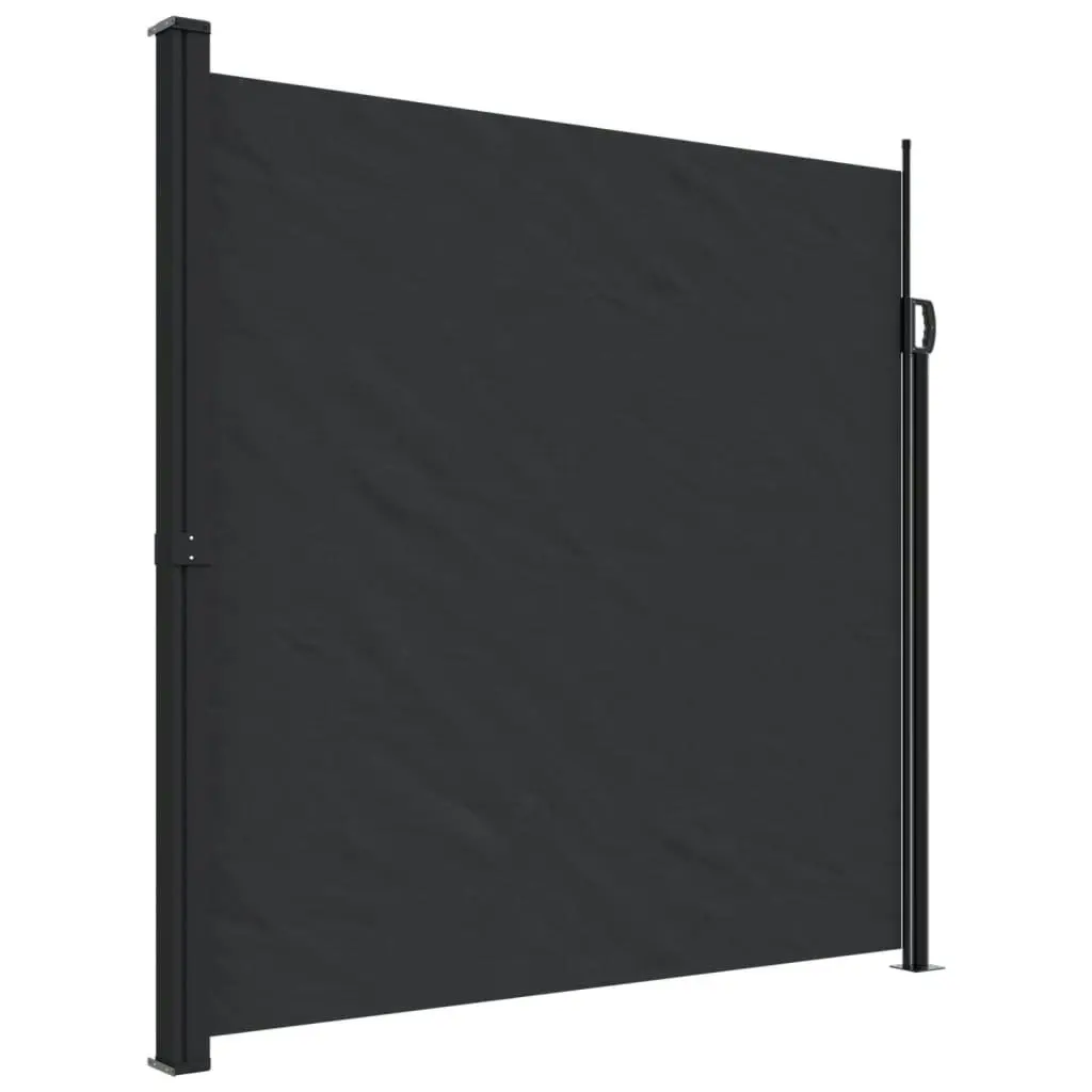 Retractable Side Awning Black 200x300 cm 4004354