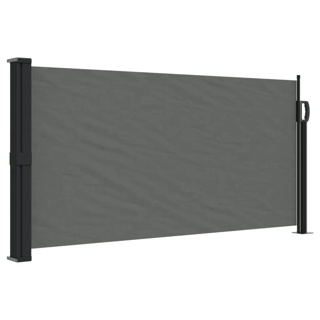 Retractable Side Awning Anthracite 100x300 cm 4004278