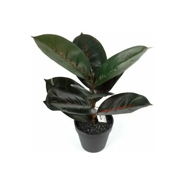 Faux - Burgundy Rubber Artificial Plant