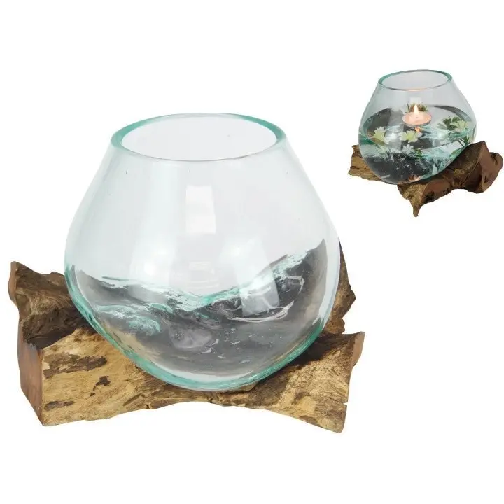 Hand Blown Glass Fish Bowl Terrarium on Natural Wood