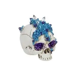 Skull with Purple Crystals