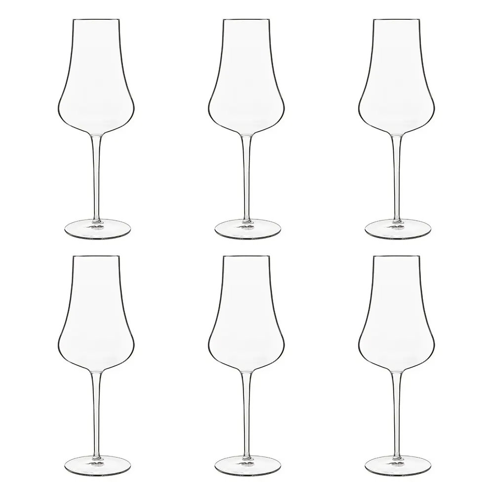 Luigi Bormioli Tentazioni Prosecco Tester Glasses 6 Pack 420ml