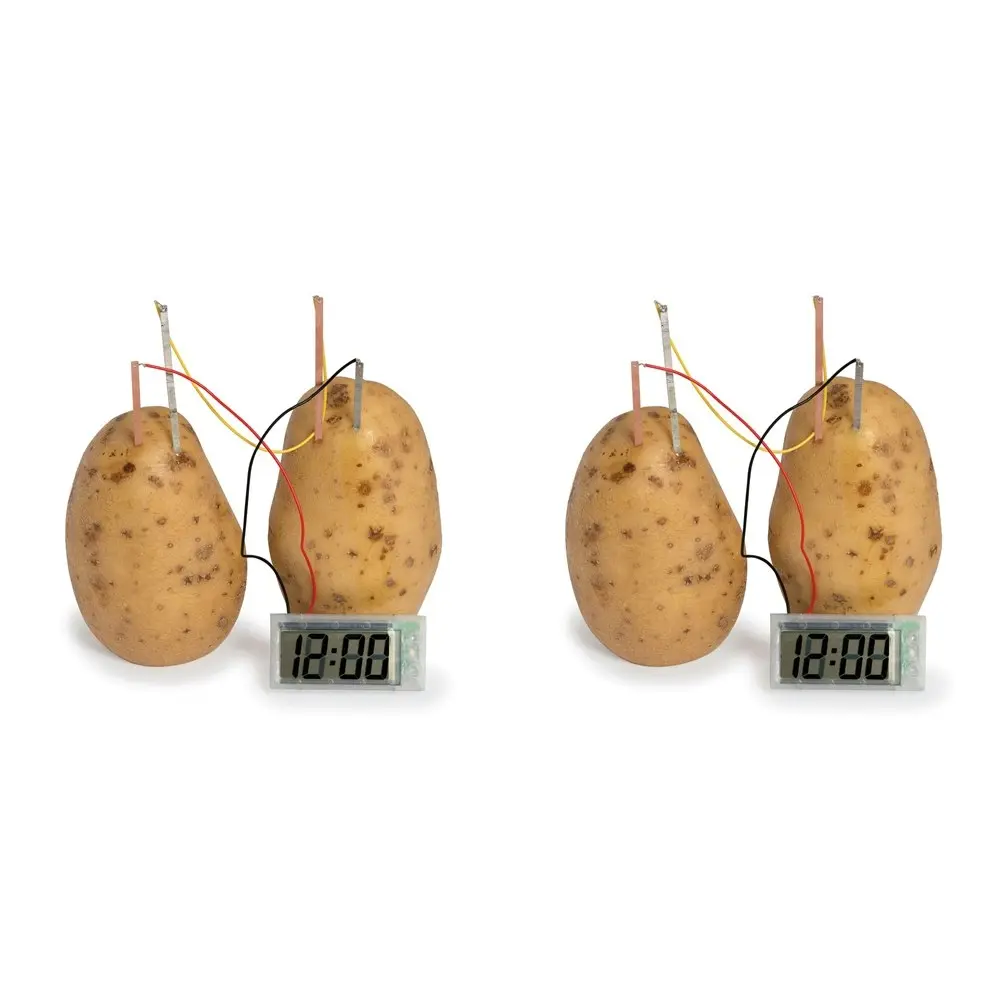 2PK Funtime 27cm Potato Clock Science Kid/Children Learning Educational Toy 10y+