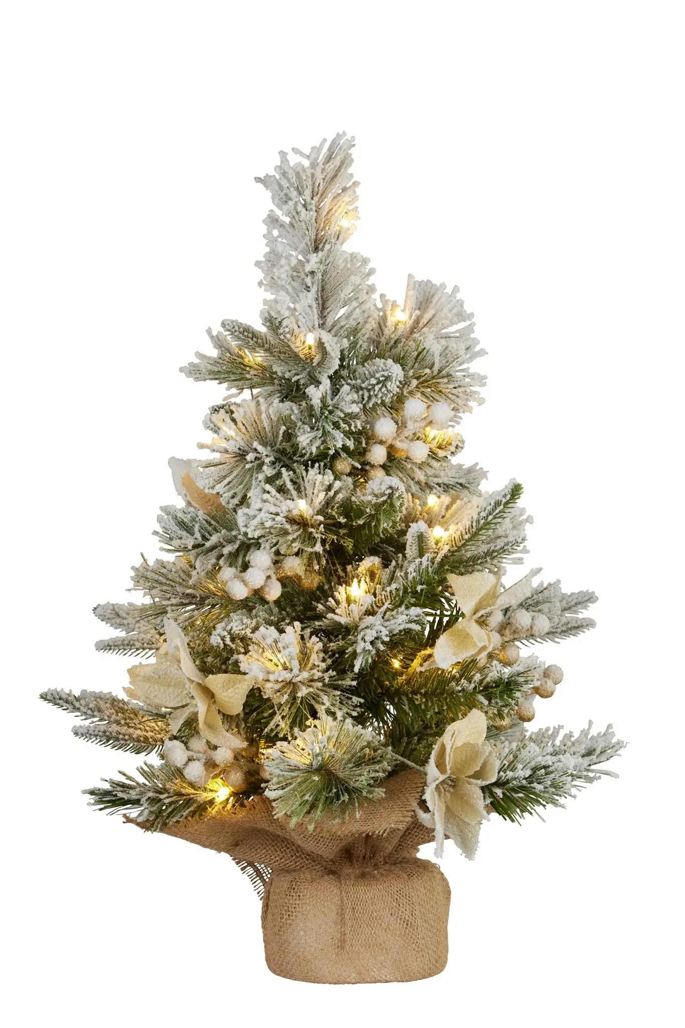 2ft Christmas Tree with Lights - Potted Frosted Colonial