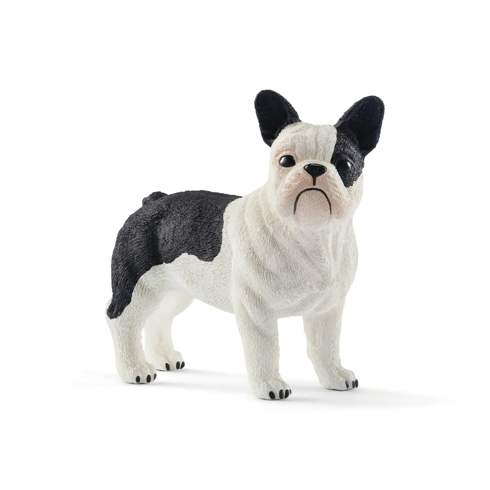 Schleich - French Bulldog | SC13877