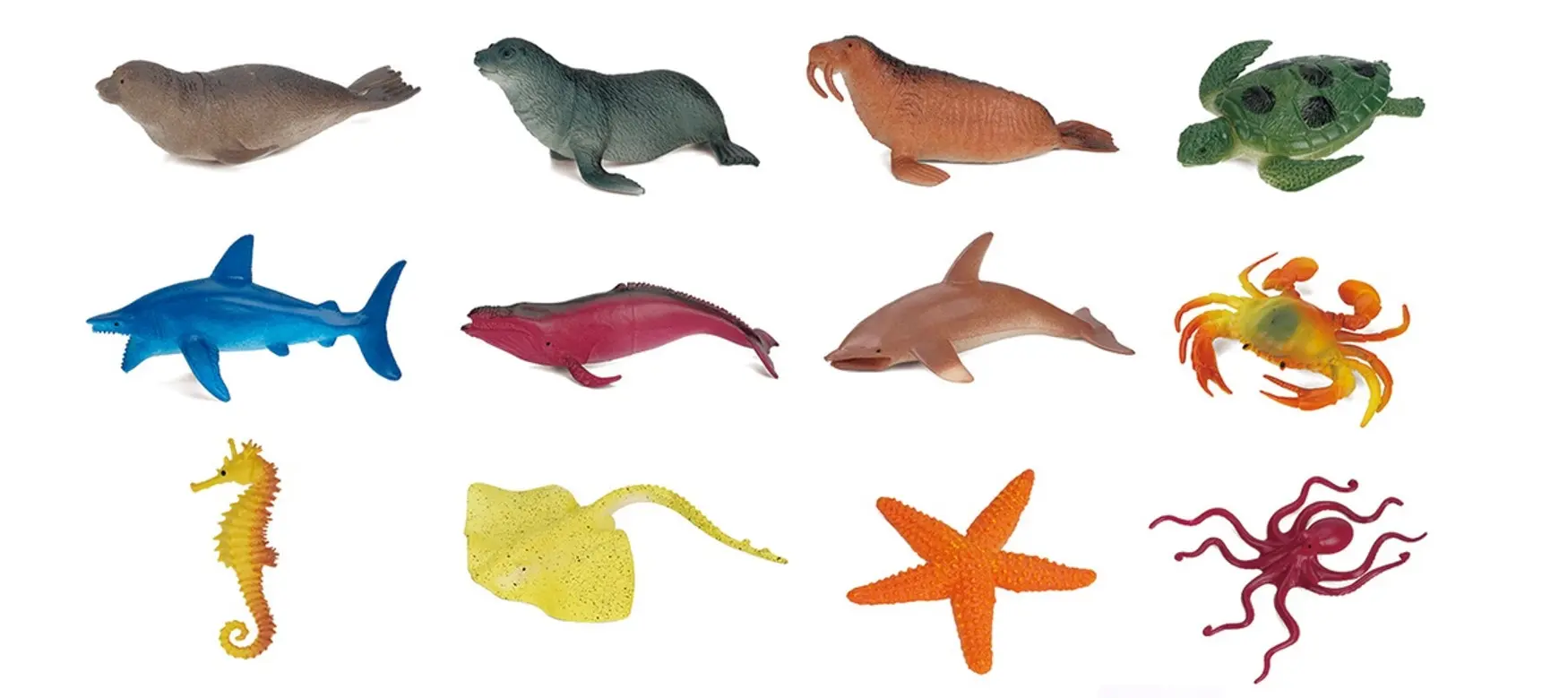 Small Marine Animals