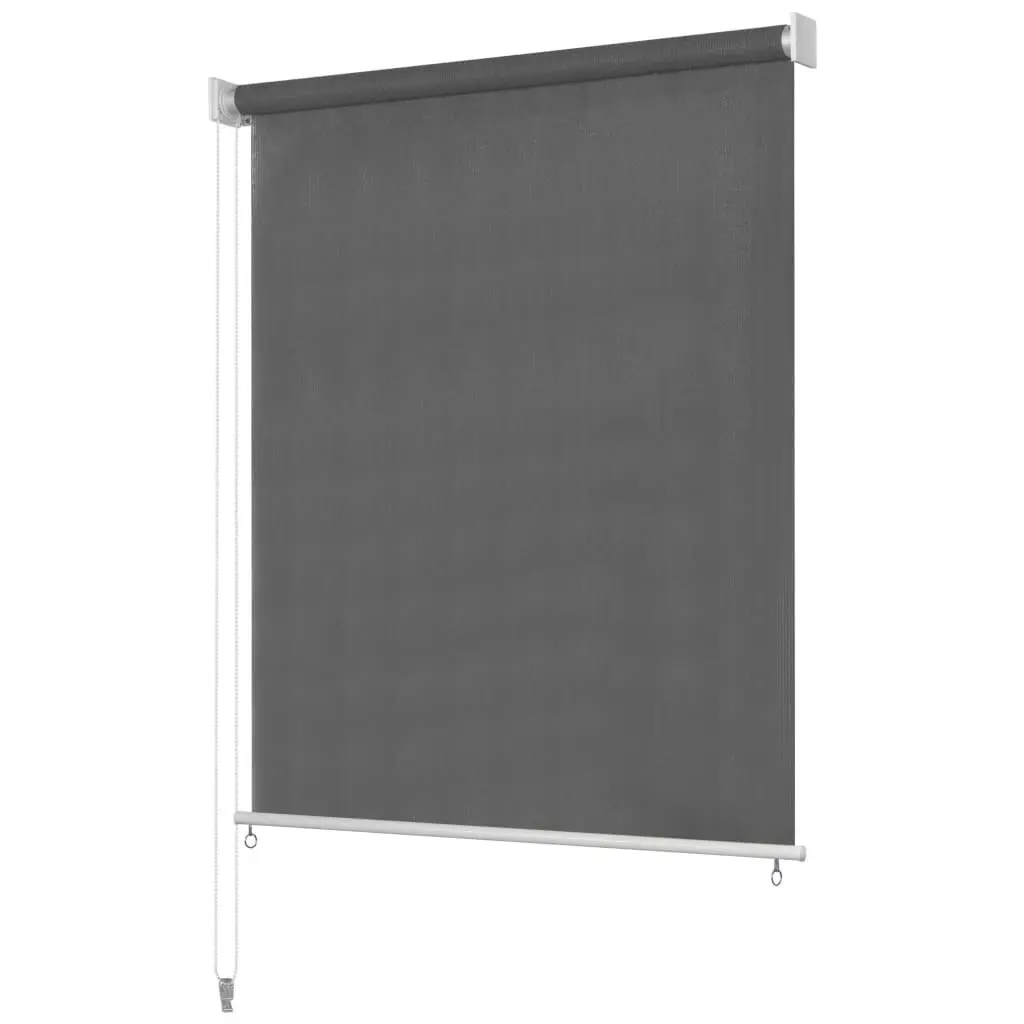 Outdoor Roller Blind 120x230 cm Anthracite 43494