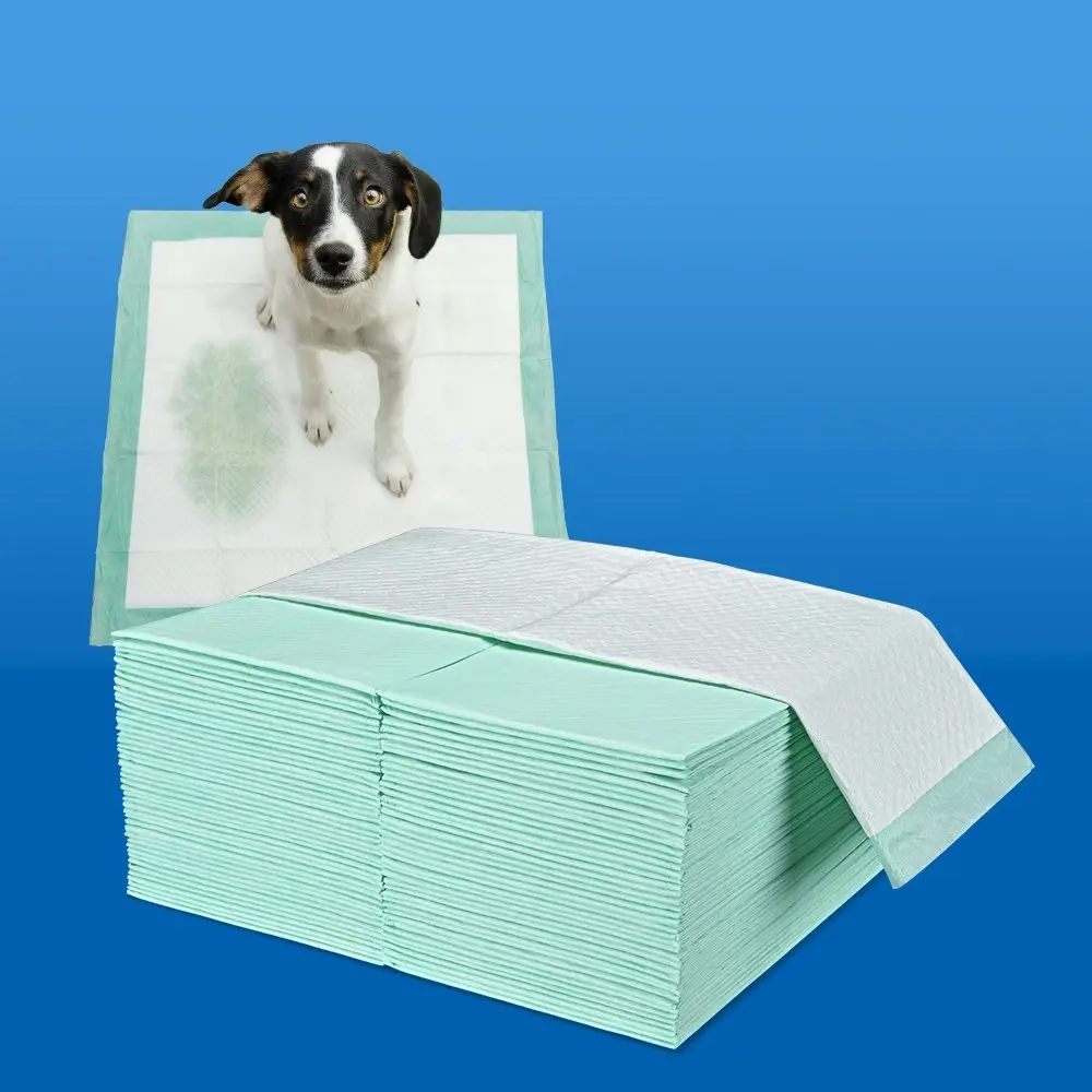 Taily Pet Training Pads 200pcs, 60x60CM Disposable Dog Pee Pads, Green Meadow