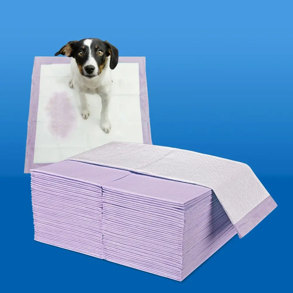 Taily Pet Training Pads 200pcs, 60x60CM Disposable Dog Pee Pad, Purple Lavender