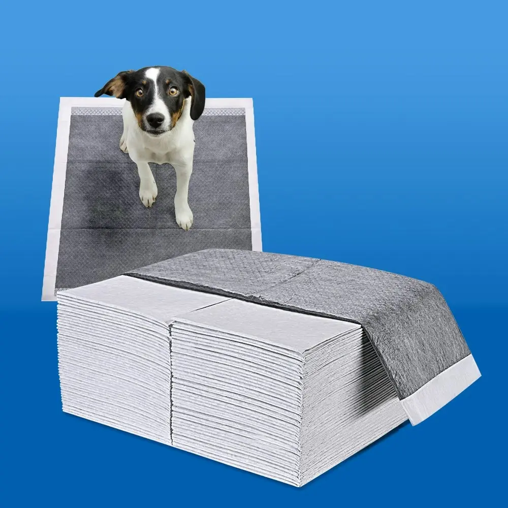 Taily Pet Training Pads 400pcs, 60x60CM Disposable Dog Pee Pads, Grey Charcoal