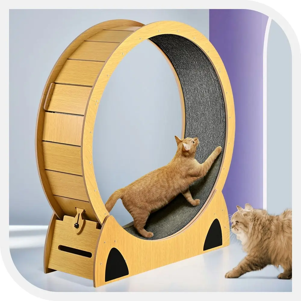 Taily Cat Exercise Wheel Cat Treadmill Cat Running Wheel Cat Scratcher Board Oak