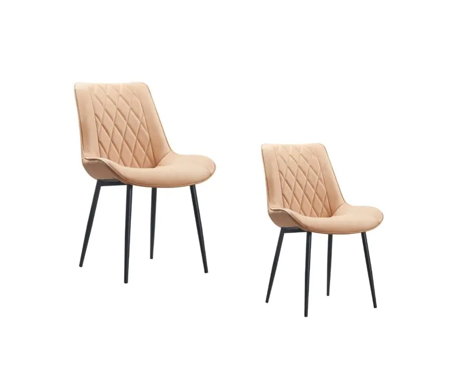 Rina Dining Chair Set of 2