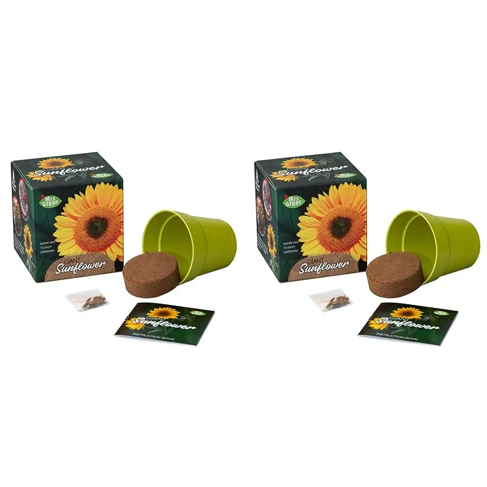 2x Mrs Green Grow YourOwn Giant Sunflower Children Activity Growing Plant Kit