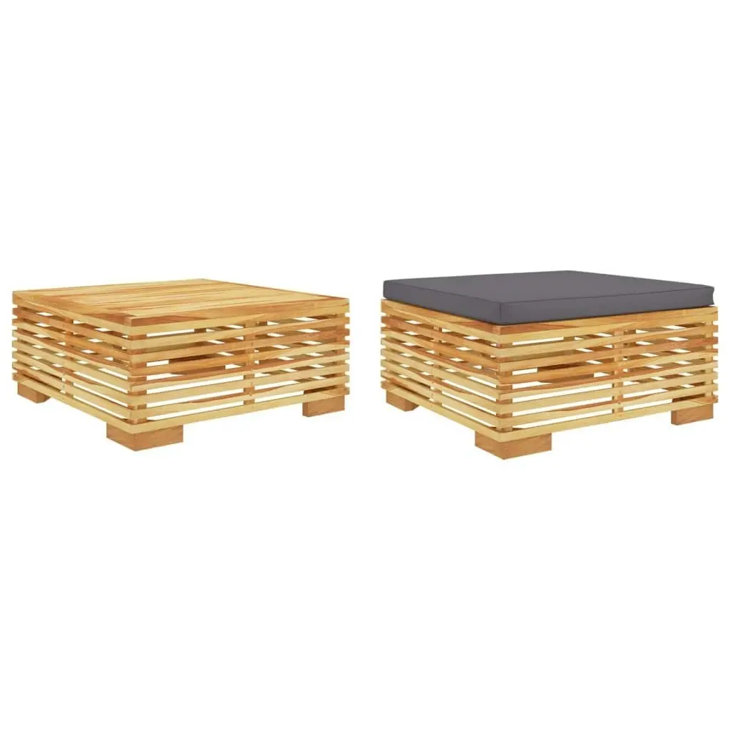 2 Piece Garden Lounge Set Solid Wood Teak 319170