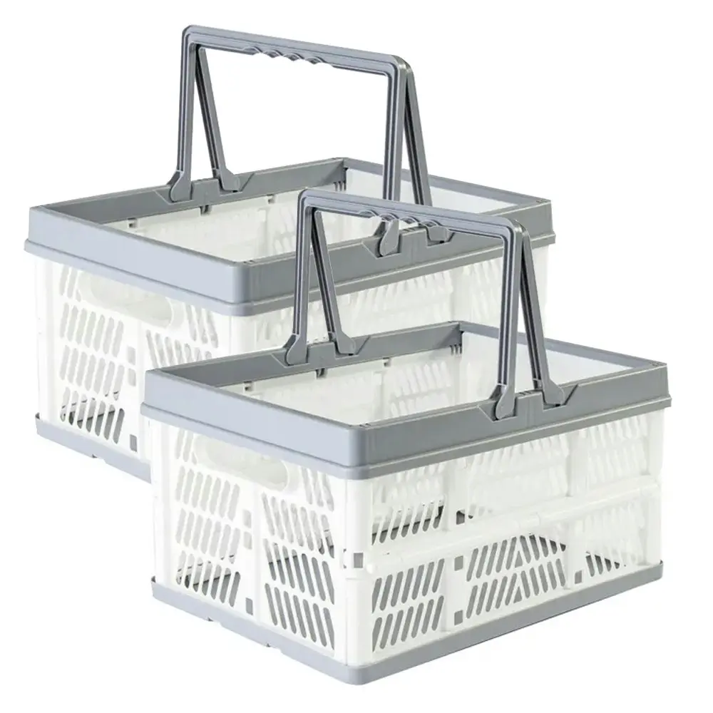 2x Living Today 9L Portable/Collapsible Shopping Storage Basket w/Handle 30cm S