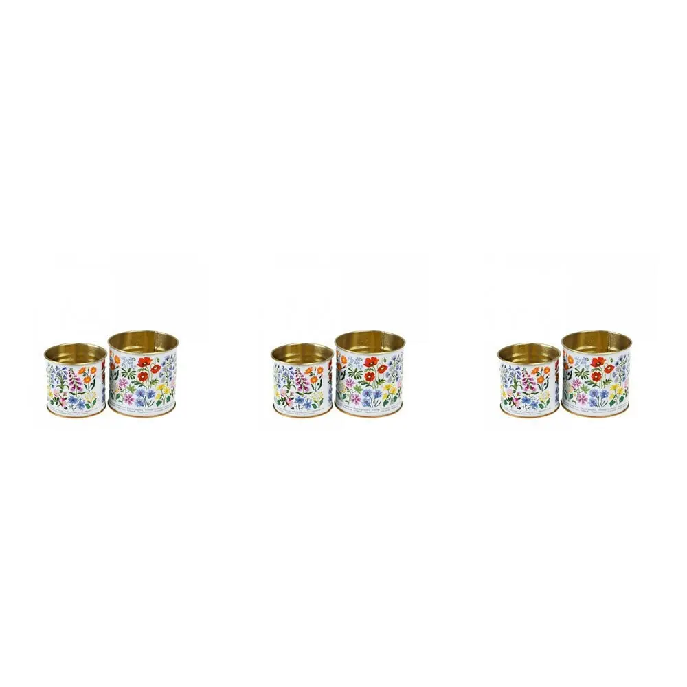 3x 2pc Rex London Mini Storage Tin Set Tabletop Desk Decor Round Wild Flowers