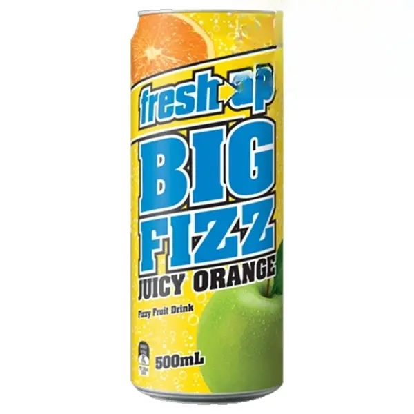 Freshup Bigfizz Orange500ml