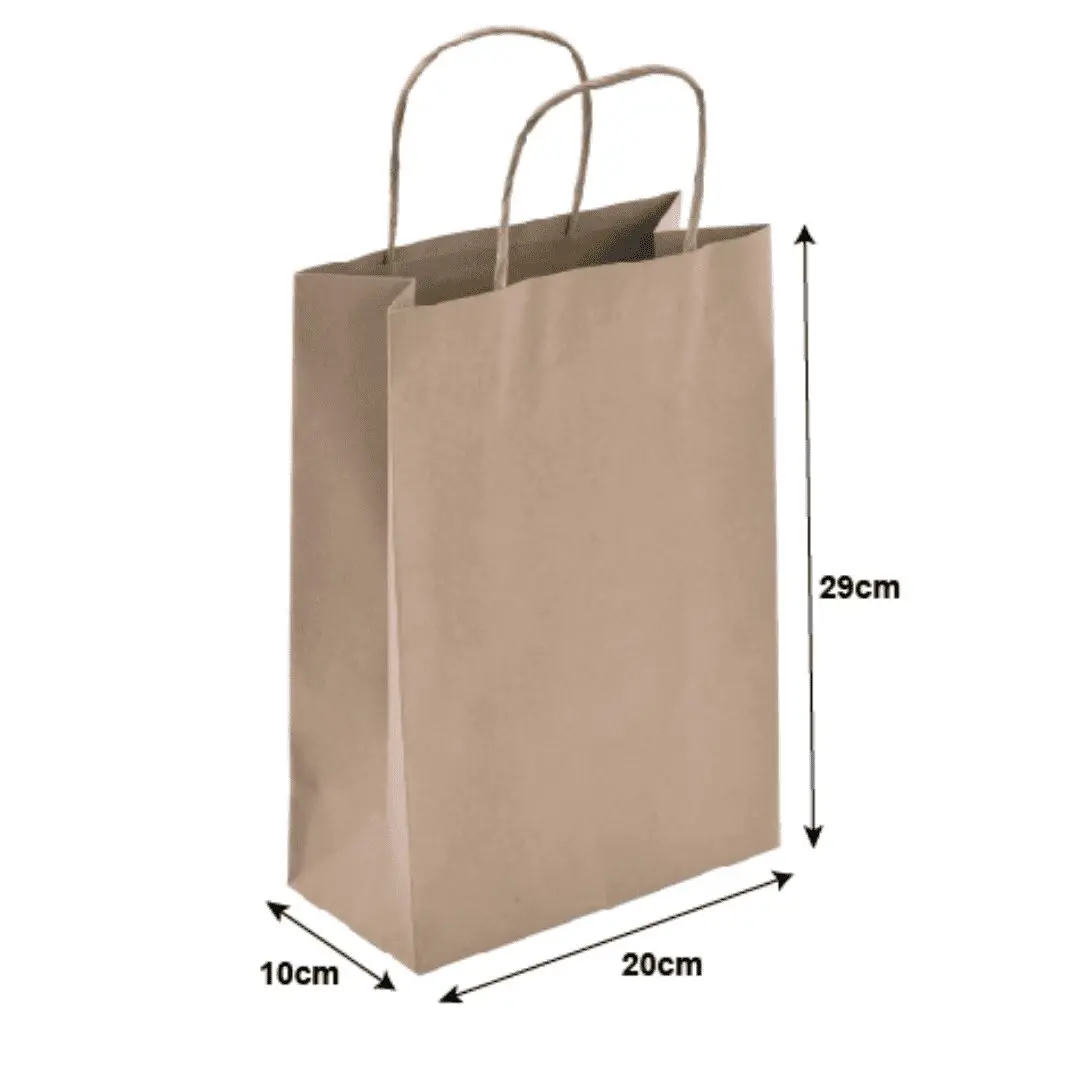 Brown Paper Bag Medium