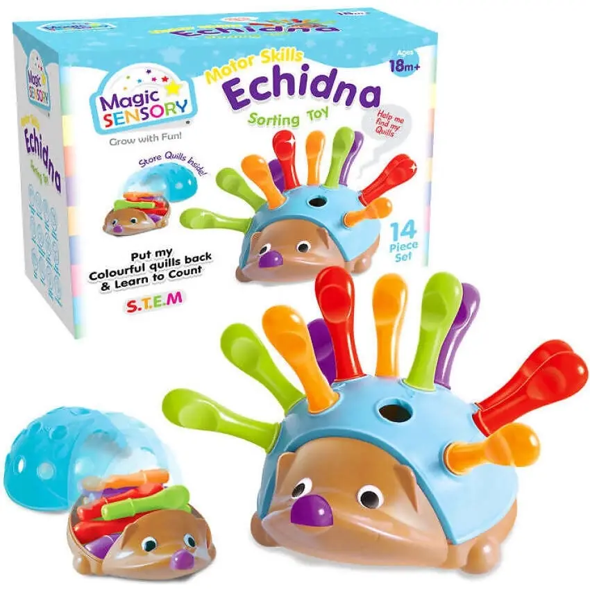 MAGIC SENSORY - Motor Skills Echidna