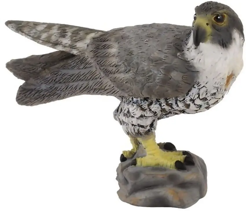 Collecta - Peregrine Falcon Bird Small Figurine