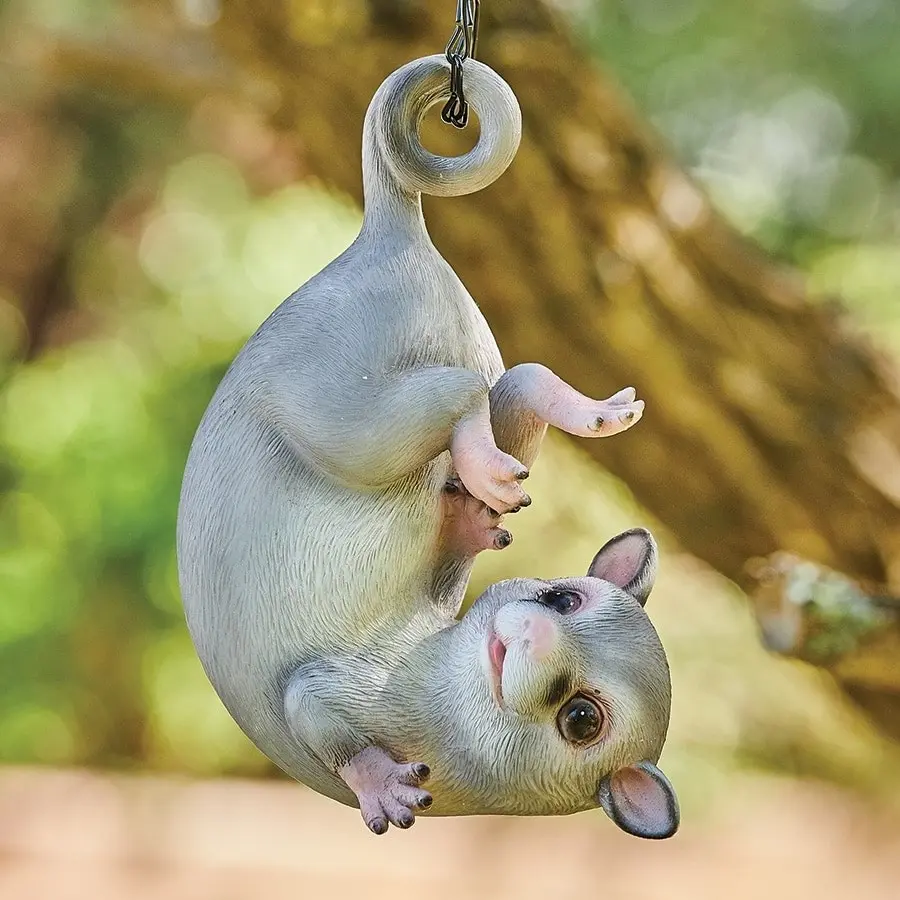 Hanging Ringtail Possum