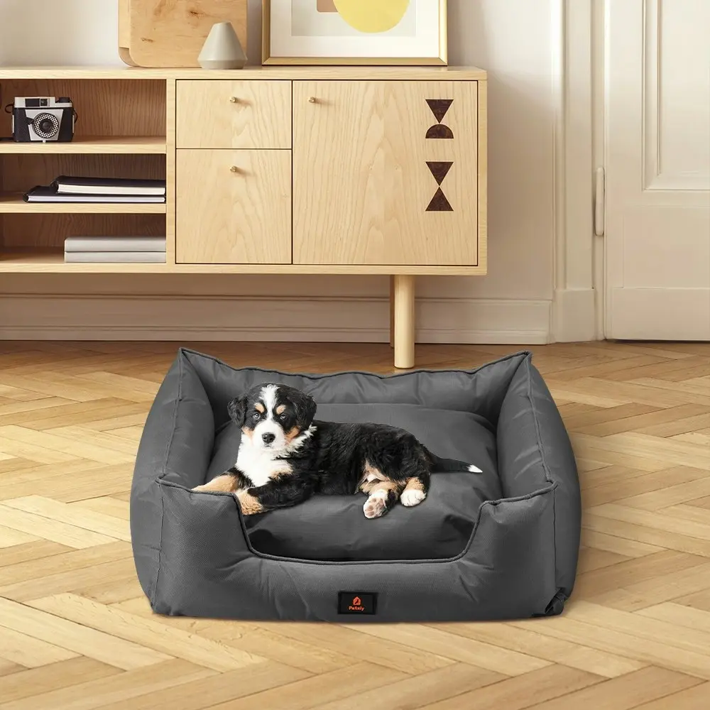 Petzly Orthopedic Dog Bed Pet Sofa Waterproof Removable Black Medium