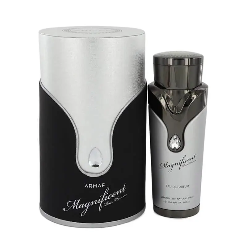 Armaf Magnificent Pour Homme 100ml EDP (M) SP