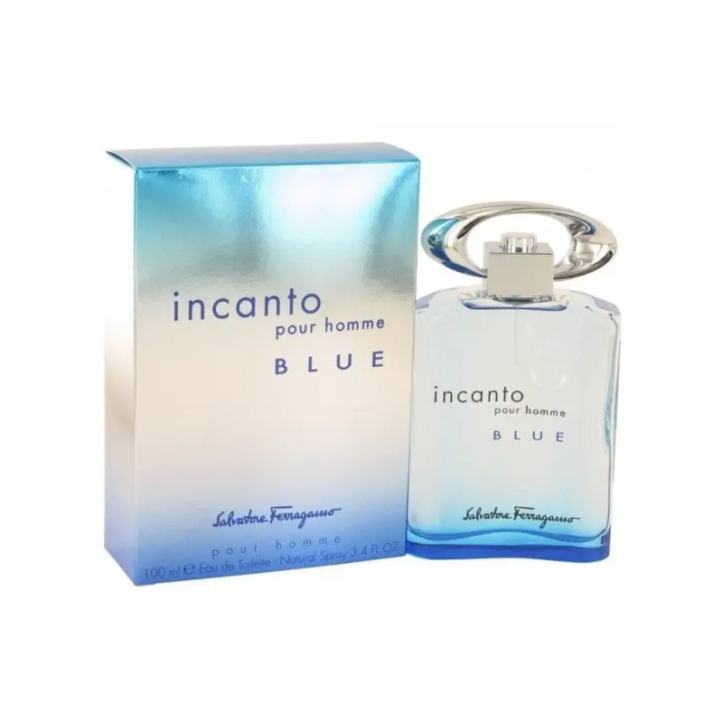 Salvatore Ferragamo Incanto Pour Homme Blue 100ml EDT (M) SP