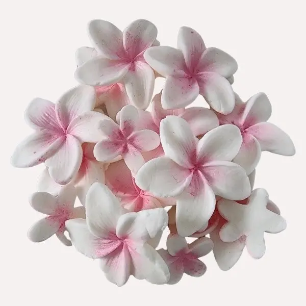 Pink Fragipani Handmade Edible Sugar Decorations