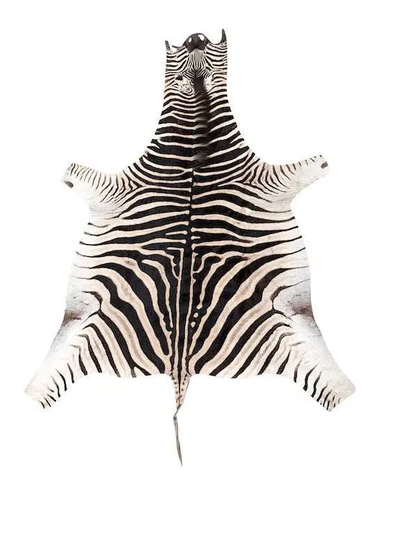 NSW Leather Authentic Zebra Hide Rug