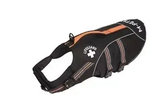 Life Jacket for Dogs