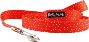 Dan & Sam  Polyester Webbing Lead  Raining Hearts