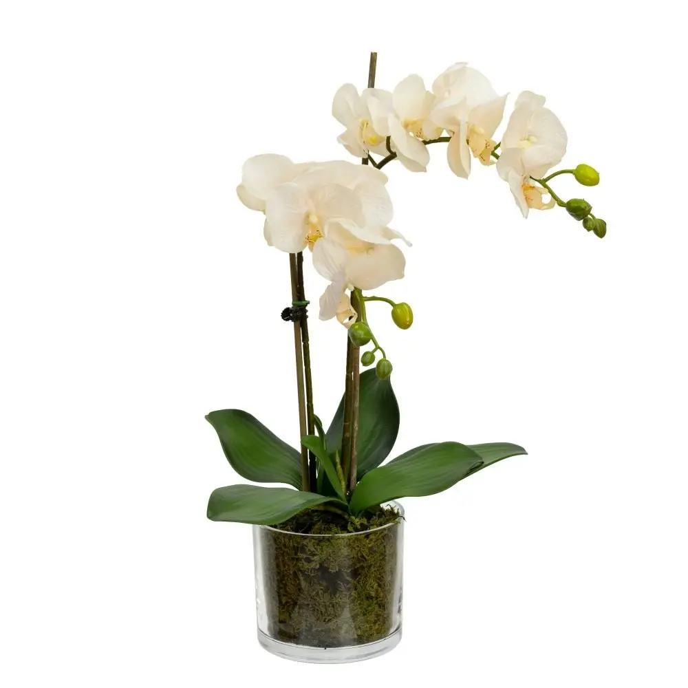 Glamorous Fusion Peach Orchid Artificial Fake Plant Decorative Arrangement 45cm In Cylinder Glass