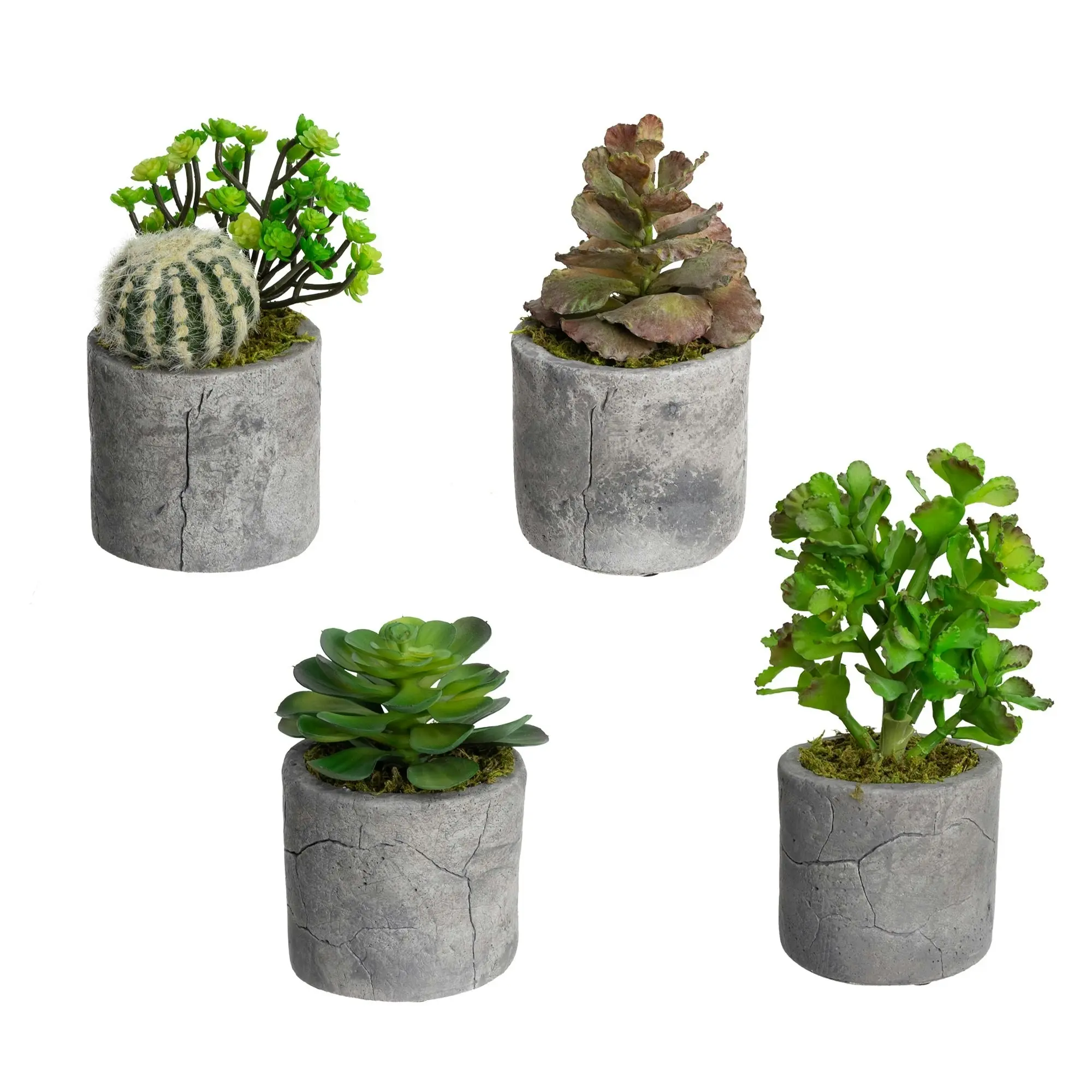 Glamorous Fusion Set Of 4 Assorted Succulent Artificial Fake Plant Decorative In Pot - Green