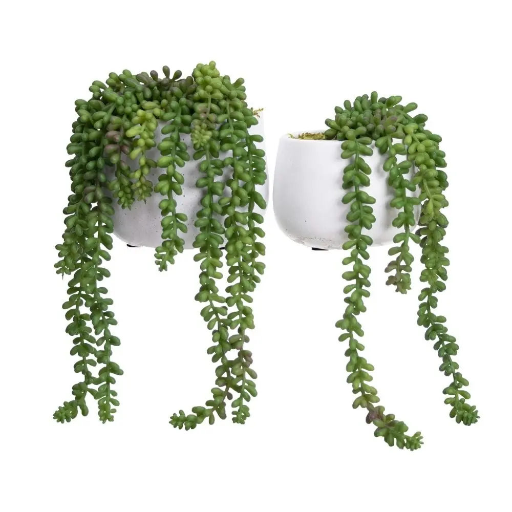 Glamorous Fusion Green Hanging Pearl Artificial Fake Plant Decorative In Pot Set