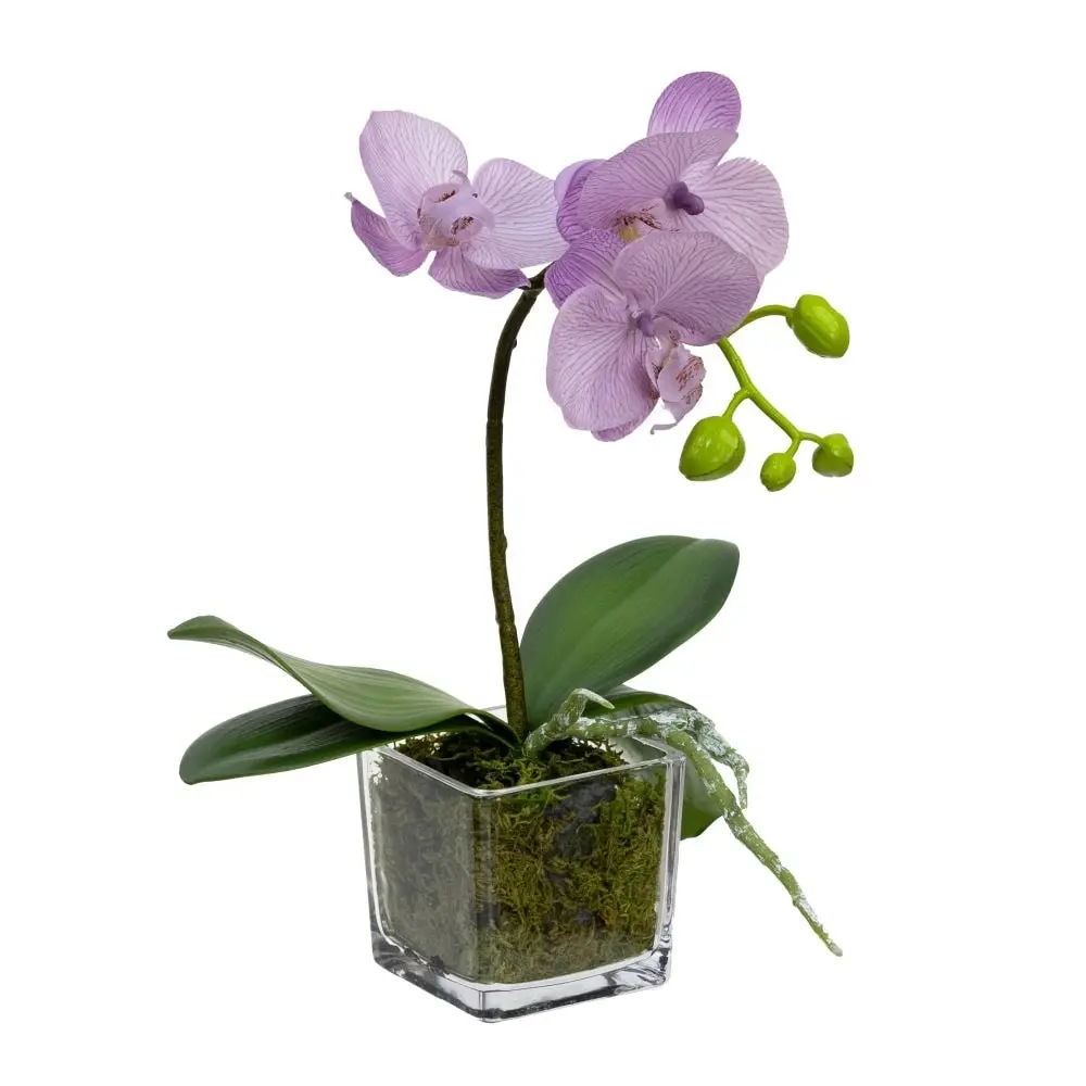 Glamorous Fusion Lavender Orchid Artificial Fake Plant Decorative Arrangement 32cm In Square Glass