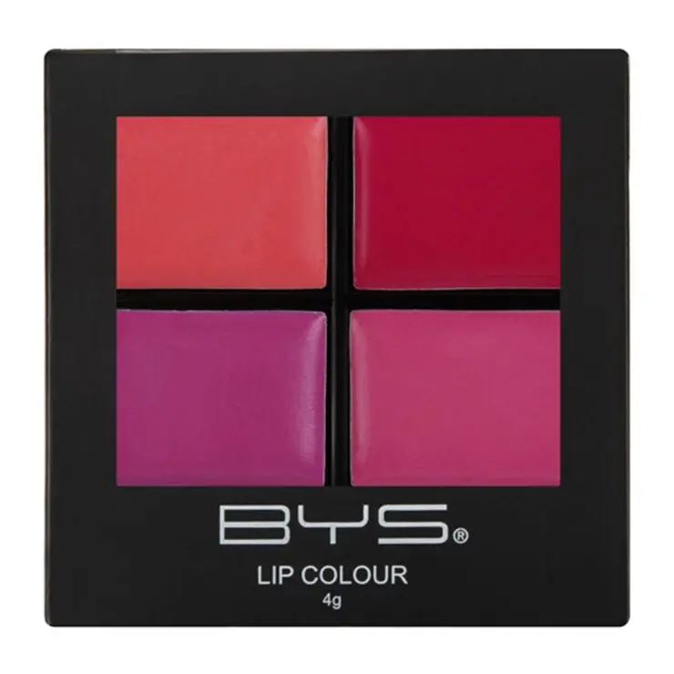 BYS Lip Colour 4g Lipstick Palette w/ Brush Lip Makeup Cosmetics Pink A Pout It