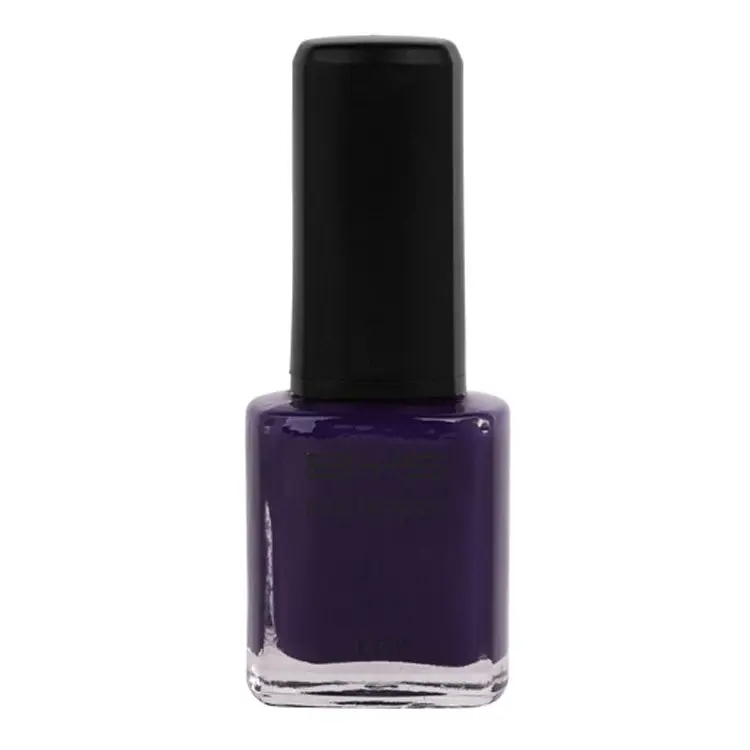 BYS Reign Supreme Nail Polish Enamel Lacquer Gloss Lasting Quick Dry 14ml Purple