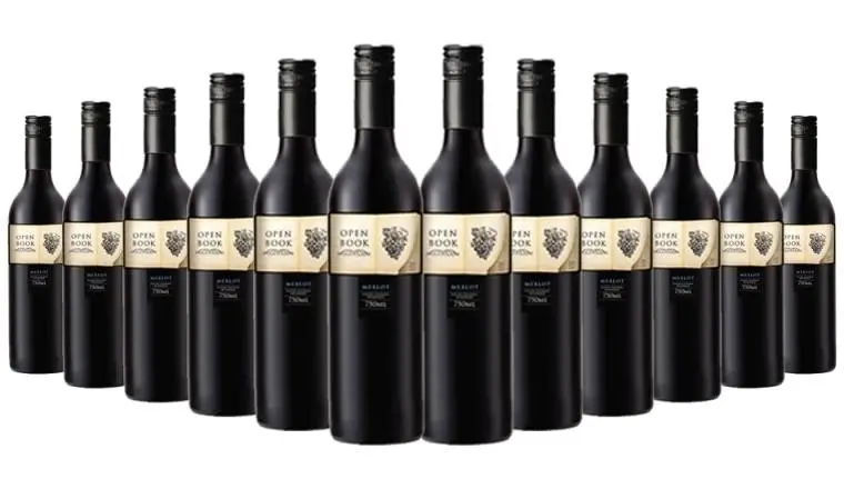 Open Book Merlot 2022 Red Wine - 12 Bottles