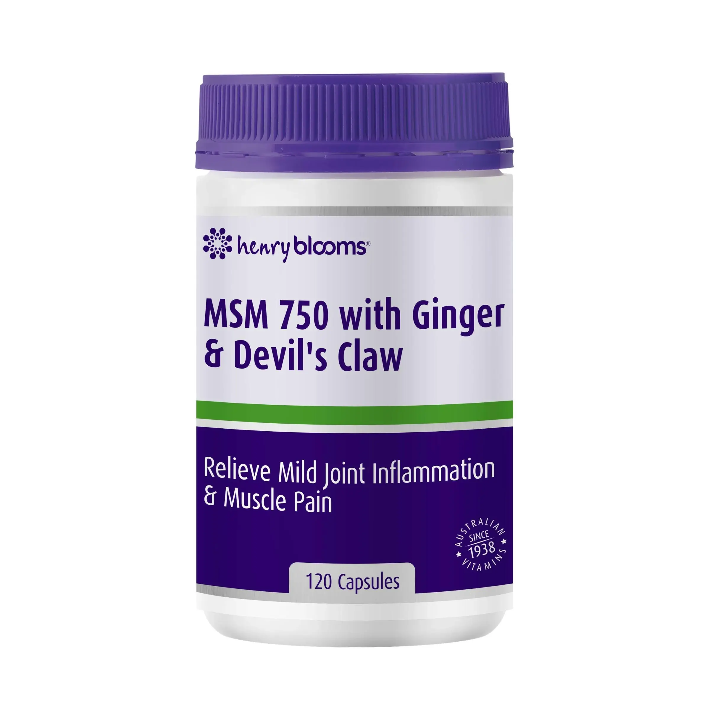 Henry Blooms MSM 750 With Ginger & Devil’s Claw 120 Capsules